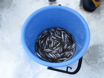 20100224100150[11].jpg